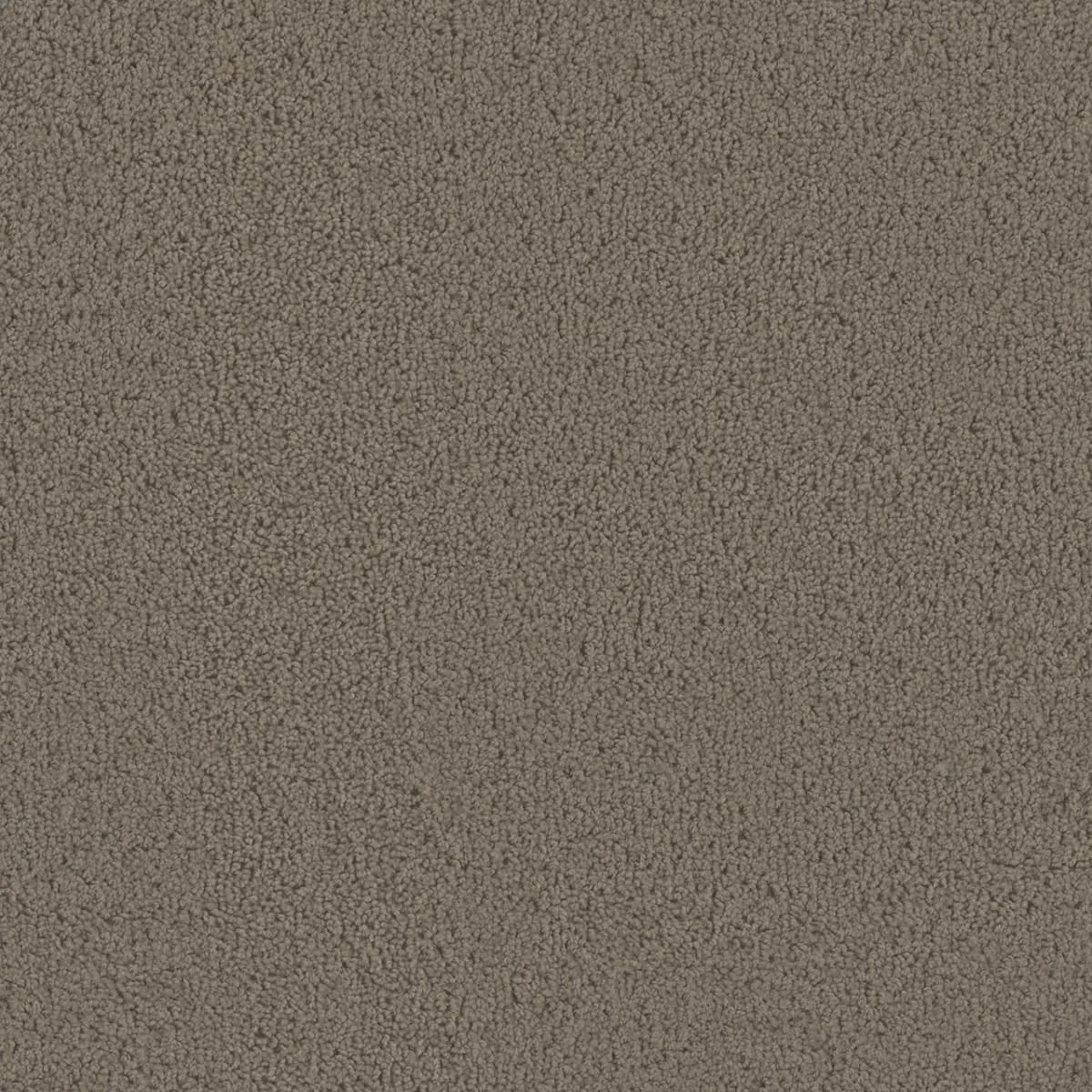 Tracker 1524 Broadloom Carpet in Cameo color, woven polypropylene material, 12ft wide