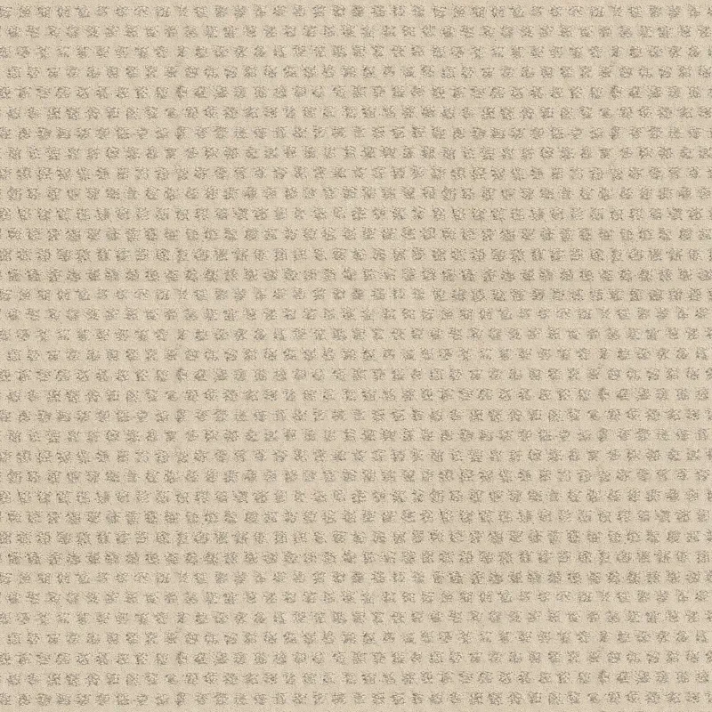 My Expression Carpet in Arctic Frost color, 12ft wide, 100% Nylon material, featuring a soft and luxurious texture.