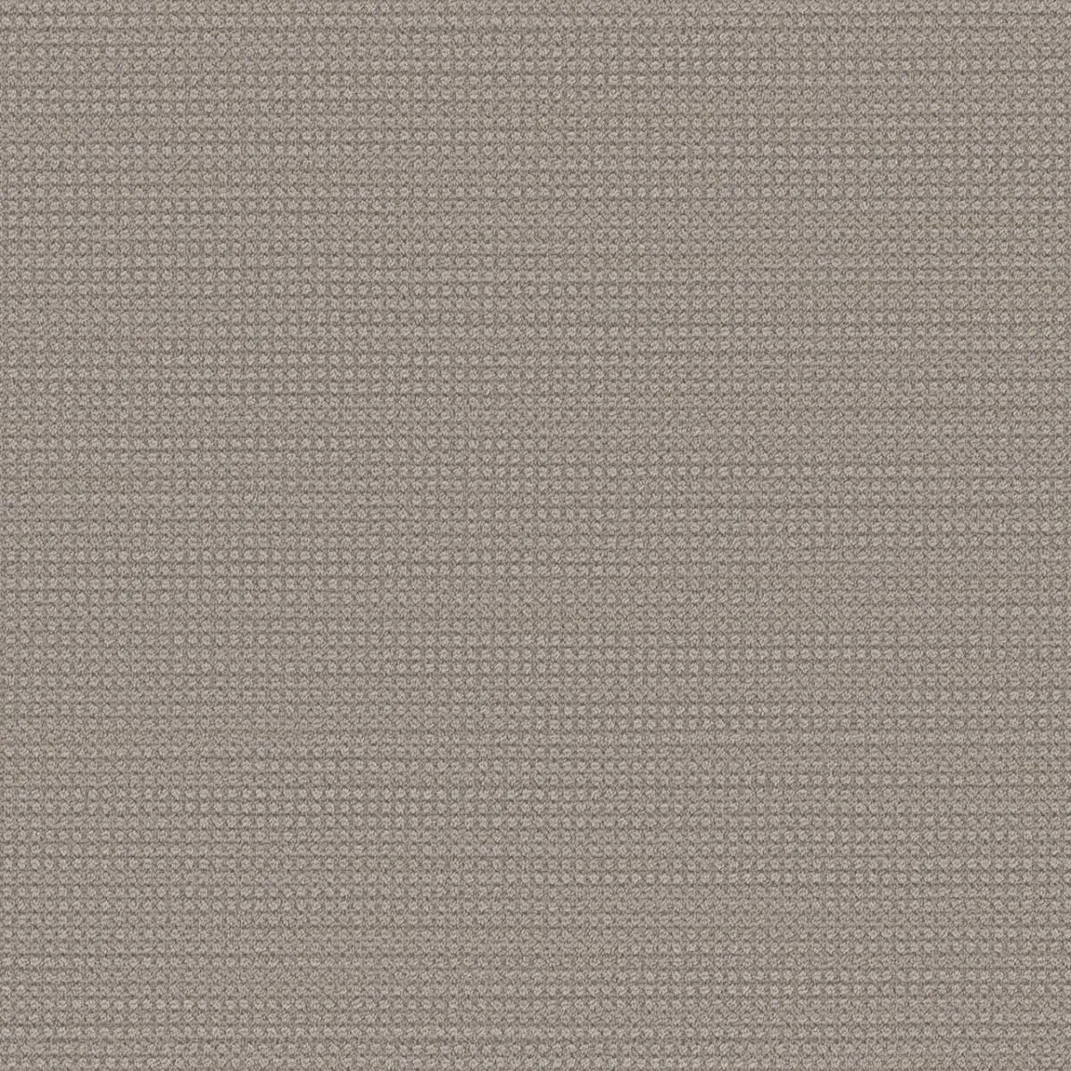 Montreal 8448 Broadloom Carpet in Ashcroft color, woven polypropylene material, 12ft wide