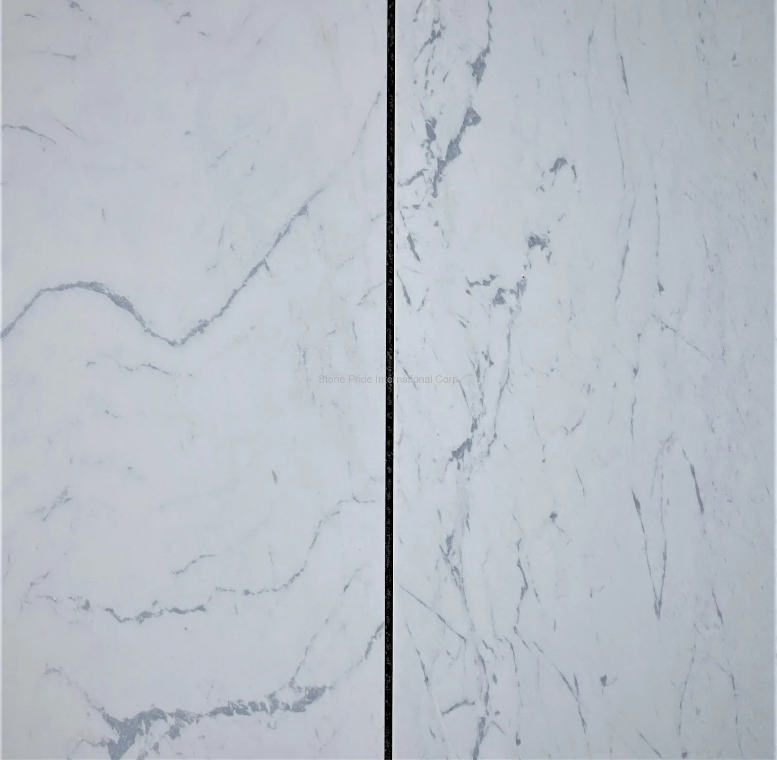 Contempo Calacatta Marble Tile