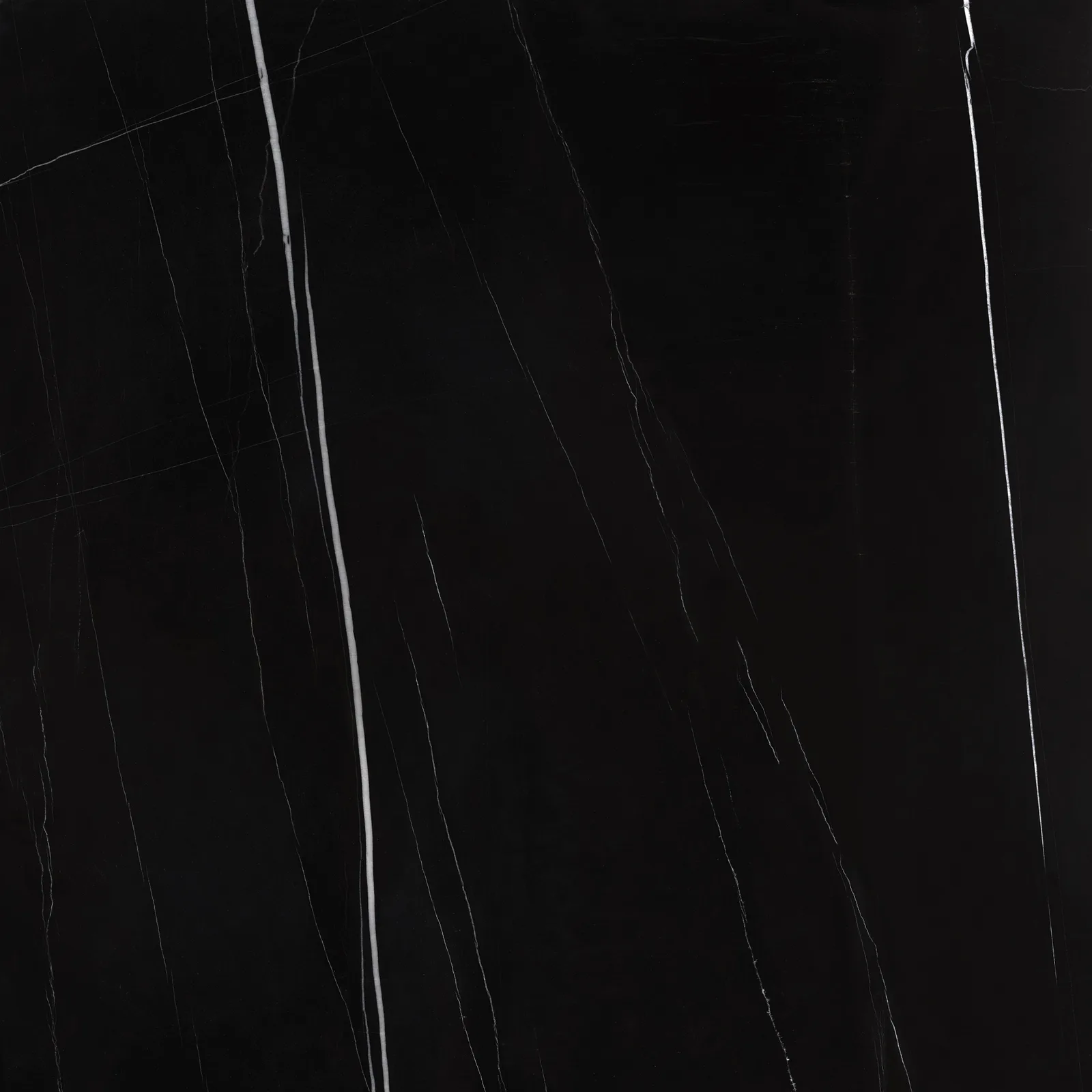 Sahara Noir