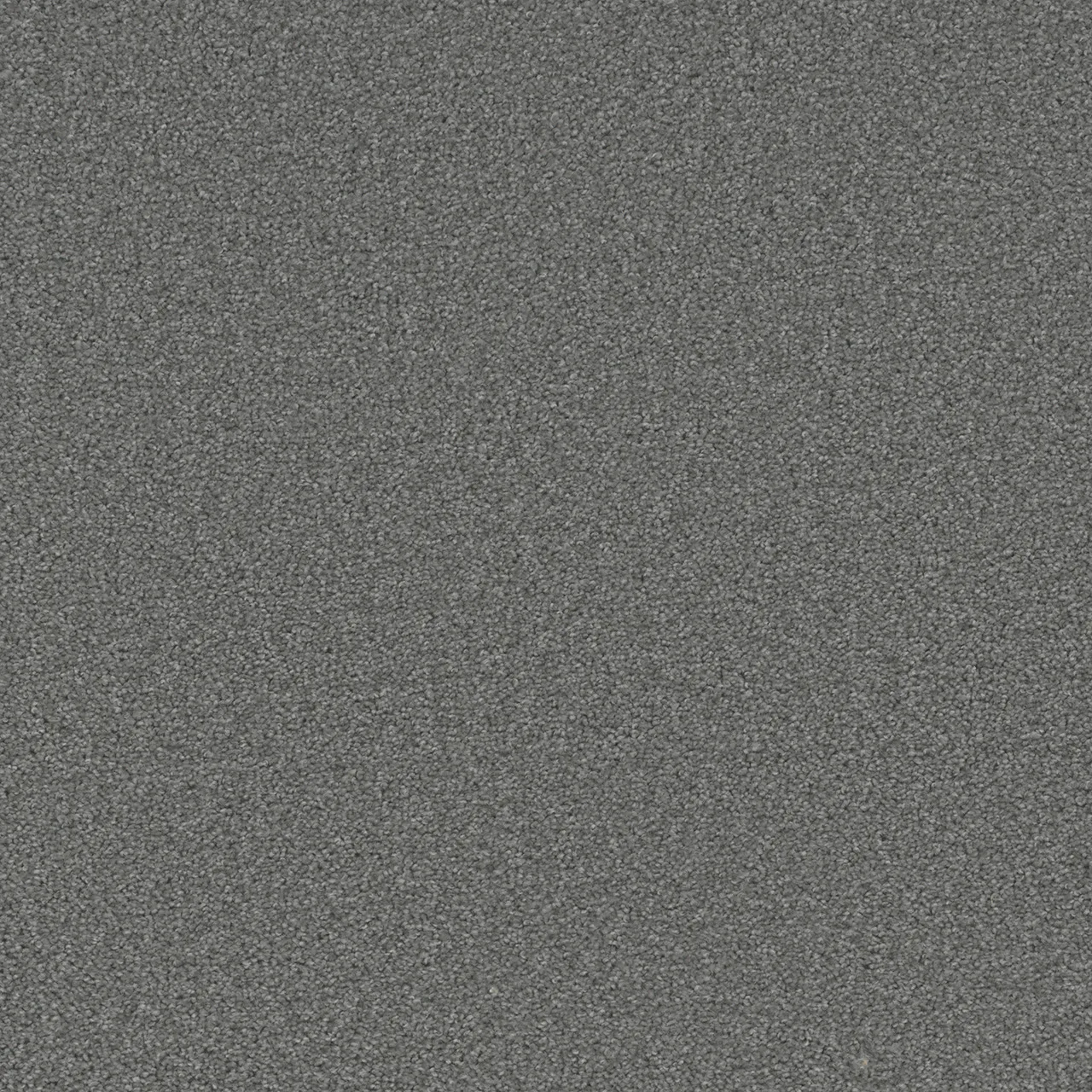 Broadcast Plus 3125 carpet in Honey Beige color, 12ft wide, made of woven polypropylene material.