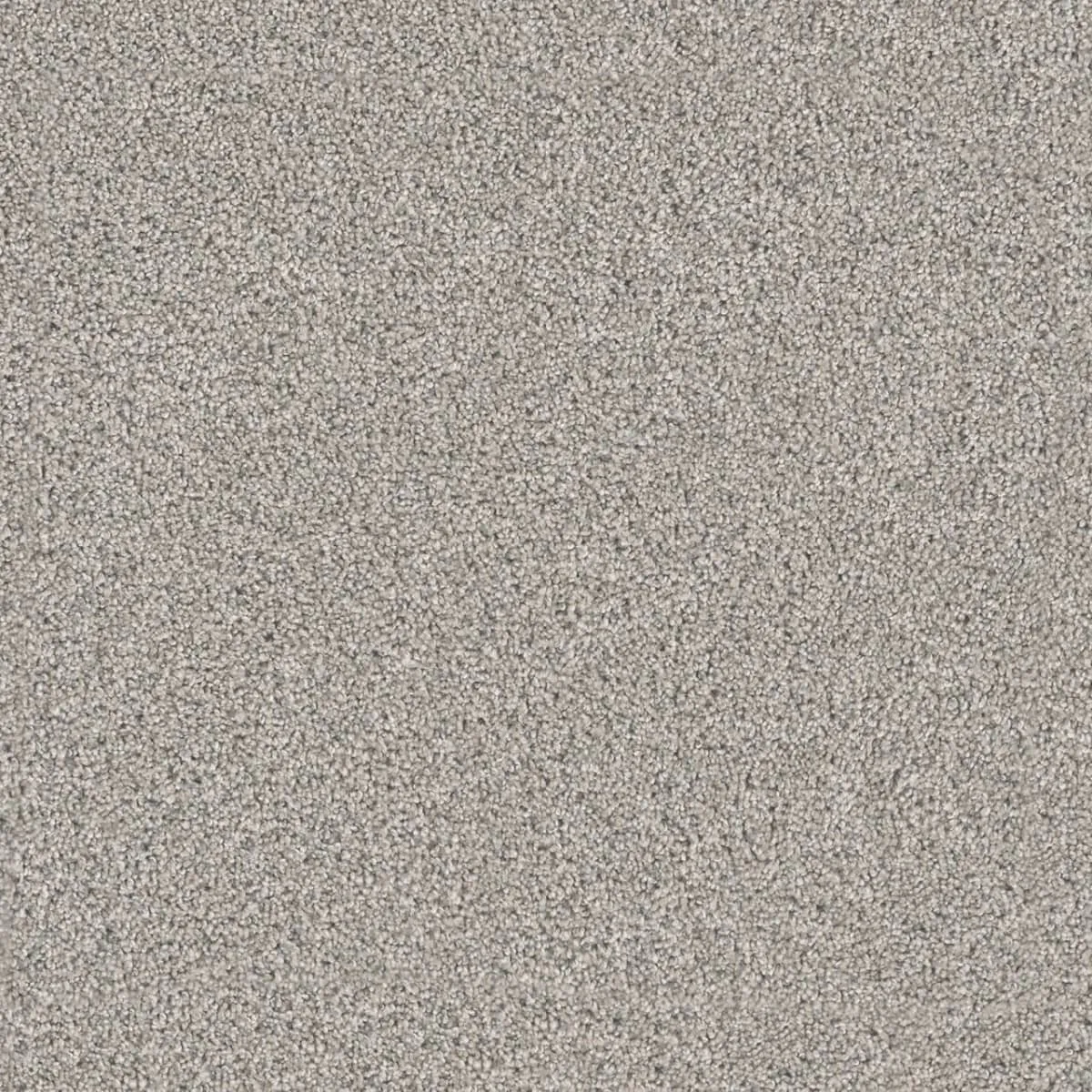 Windy City I 4929 Broadloom Carpet in Moon Rise color, woven polypropylene material, 12ft wide