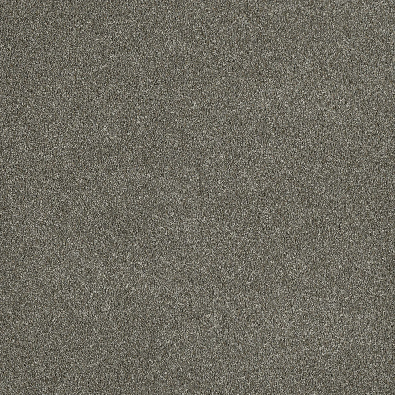 Malibu III 3760 Broadloom Carpet in Soft Leather color made from woven polypropylene material, 12ft wide