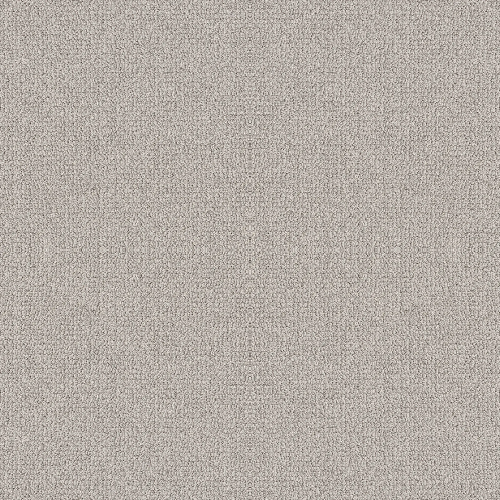 Embellished 5E458 carpet in Asteroid color, 12ft width, made from 100% PET material