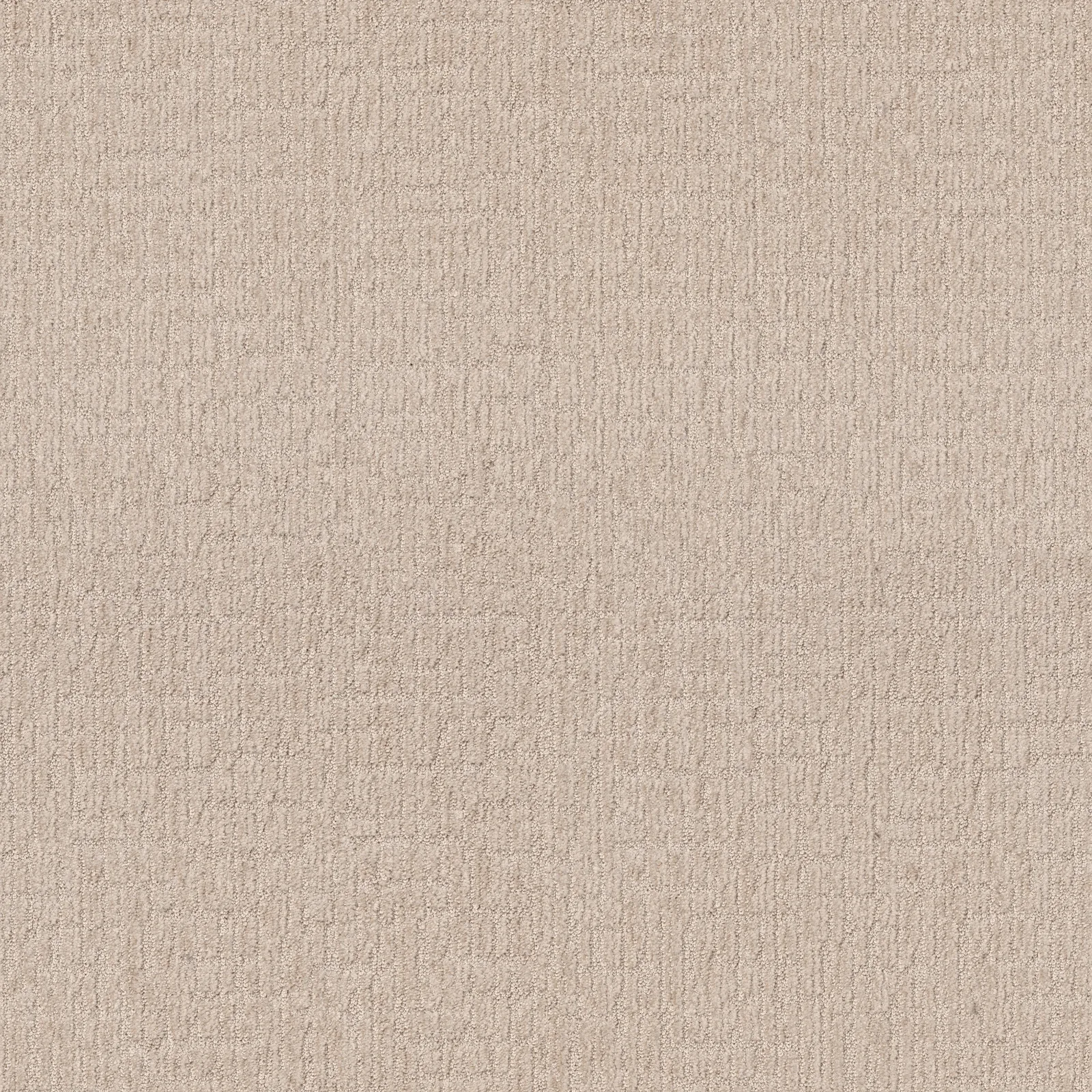 Wanderer ZZ224 Broadloom Carpet in Antique Pearl color, 100% Nylon material, 12ft width