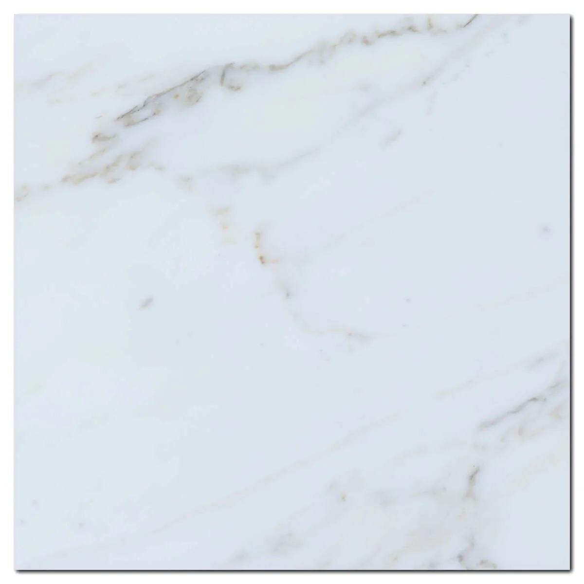 Calacatta Gold Marble Tile in polished finish, 12x12 size, natural stone material