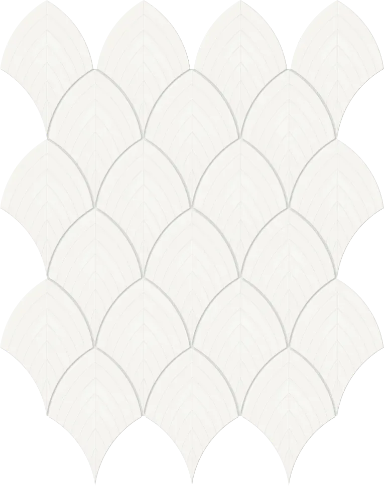 S-Series Canvas White Scallop