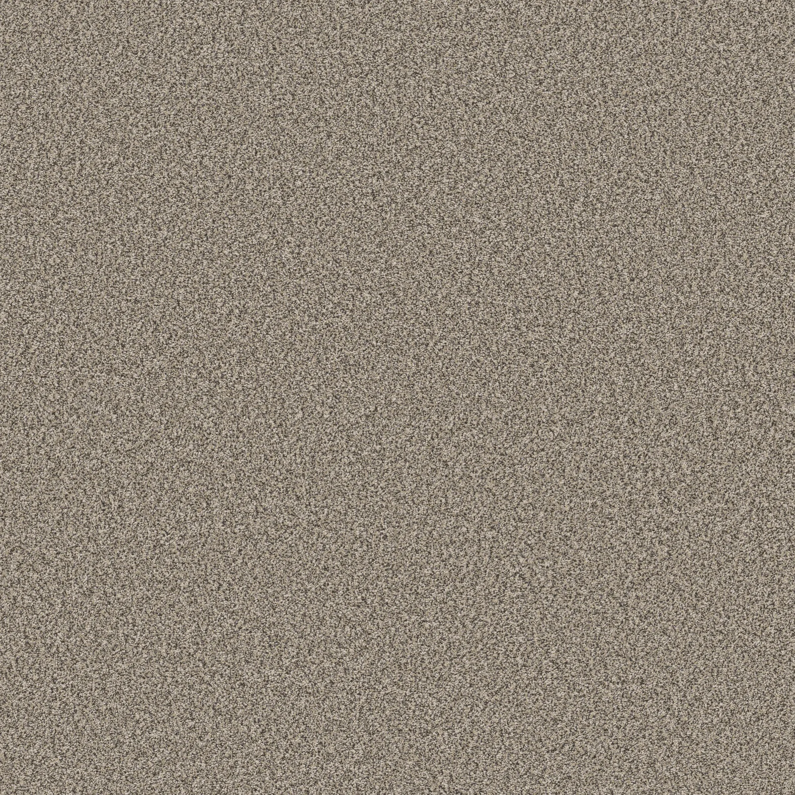 Kaleidoscope ZZ255 Broadloom Carpet in Espresso color, made of 100% PET material, 12 ft wide