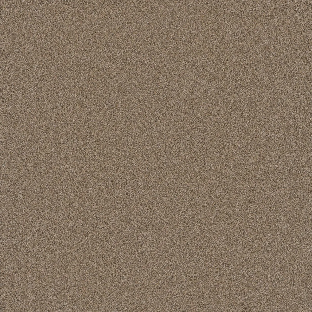 Cosmopolitan II 8550 textured broadloom carpet in various colors including Sageview and Blush, made from woven polypropylene, 12ft wide.