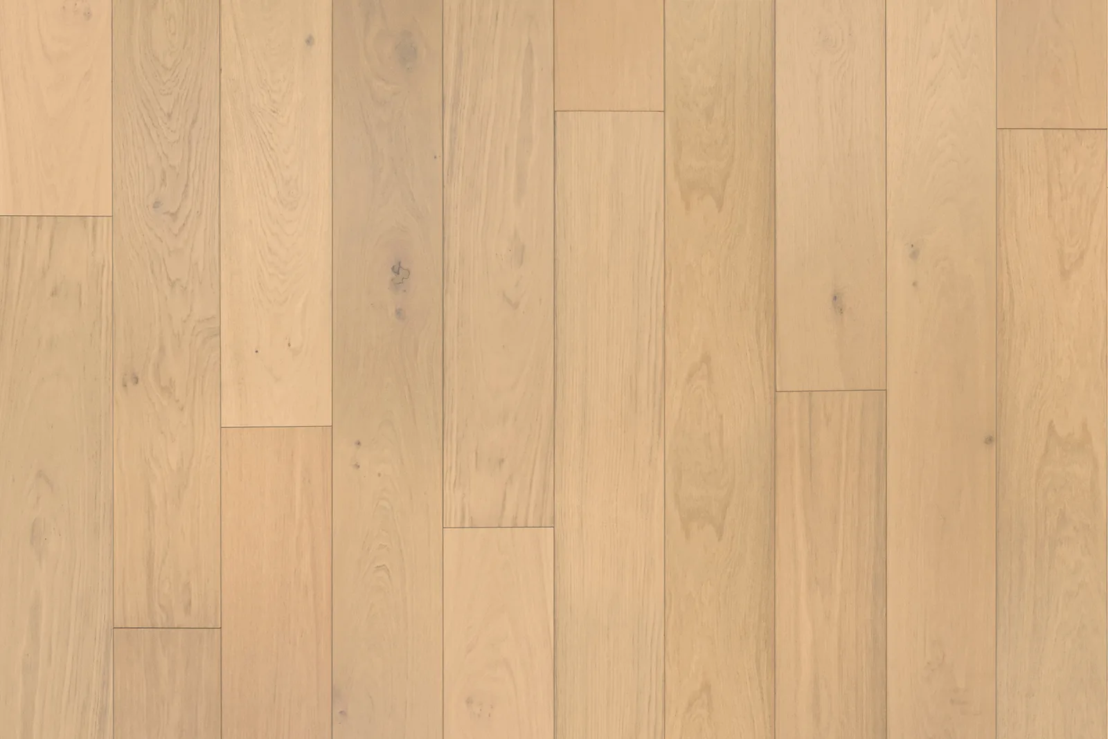 Shell Beach engineered hardwood flooring, wire-brushed finish, 1/2" x 7-1/2" size, European Oak material