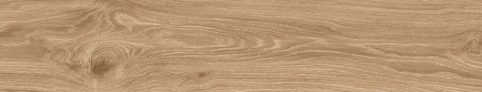 Carabela Camel