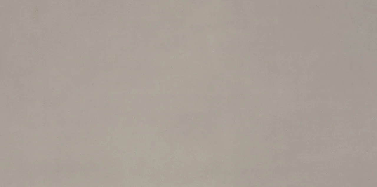 American Olean Neoconcrete Light Gray 12X24, Matte, Rectangle Porcelain Tile