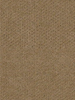 Domain Broadloom 3051B Carpet in Enclave color, 12ft wide, woven polypropylene material