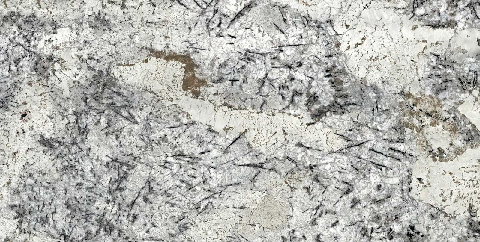 Delicatus Ice19