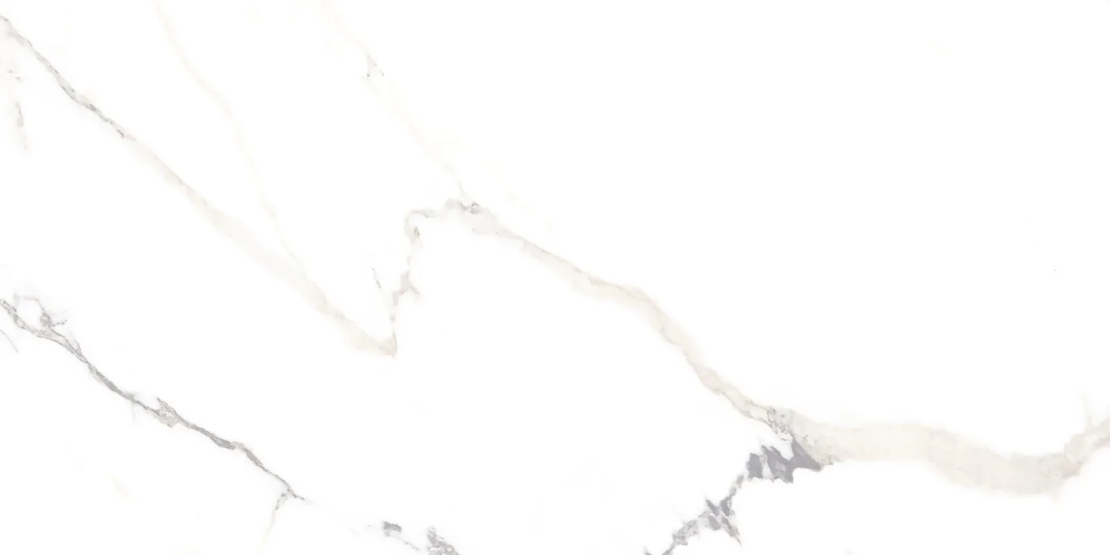 Polaris Fd White