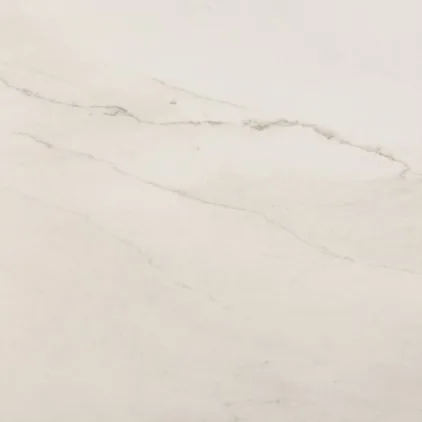 Ecoluxe Snow