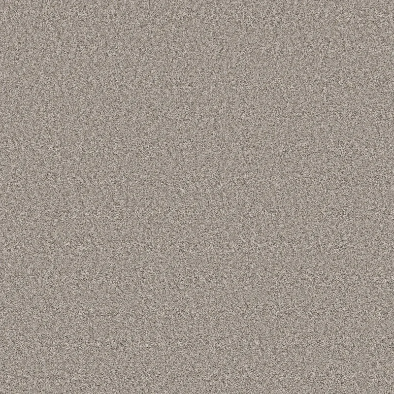 Always Right I Broadloom Carpet in Woodcraft color, 12ft wide, made of 100% PET material.