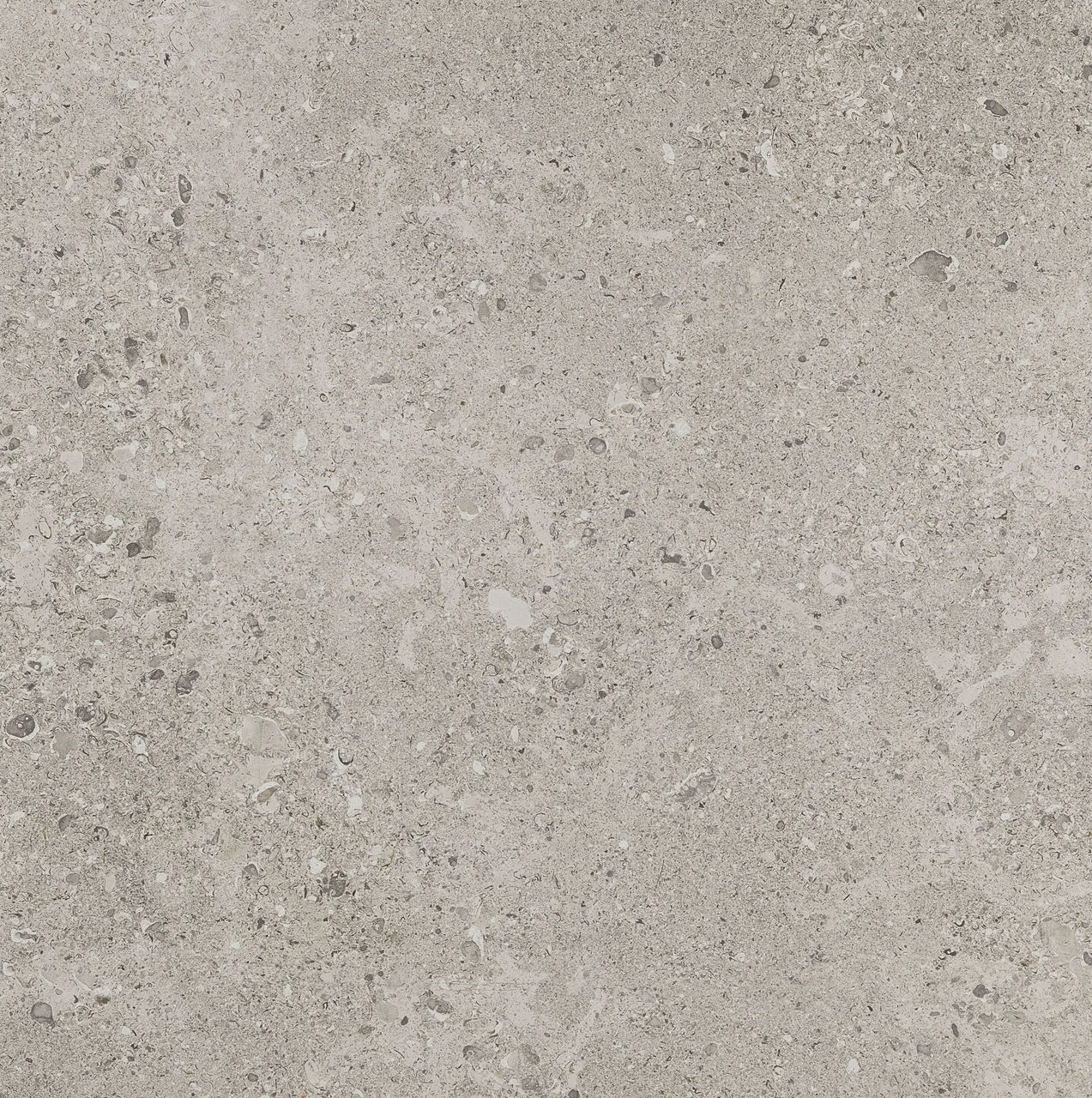 Daltile Dignitary Superior Taupe porcelain tile 12x24 ColorBody light polished textured matte finish