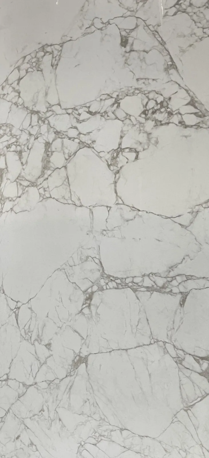 Roma Porcelain Tile in Beige Matte finish, 24x48 size, ideal for floors and walls, with a modern concrete look.