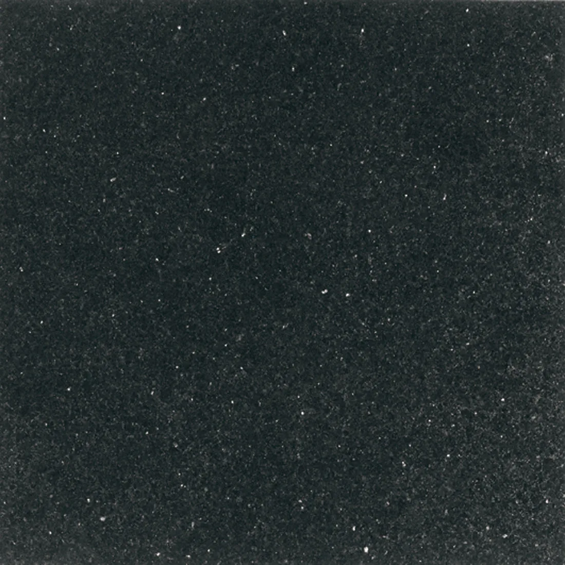 Daltile Granite Galaxy Black