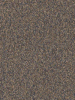 Chivalry 26 BL 3034B broadloom carpet in rich Humanity color, 12ft wide, soft texture, Pentz collection