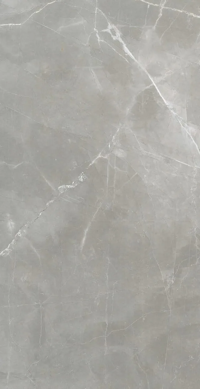 Timeless Amani Grey