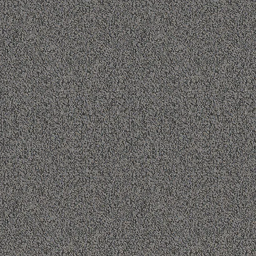 Chivalry 7233T Carpet Tile in Noble color, 24x24 size, made from Encore® SD Nylon with Nexus® Modular backing