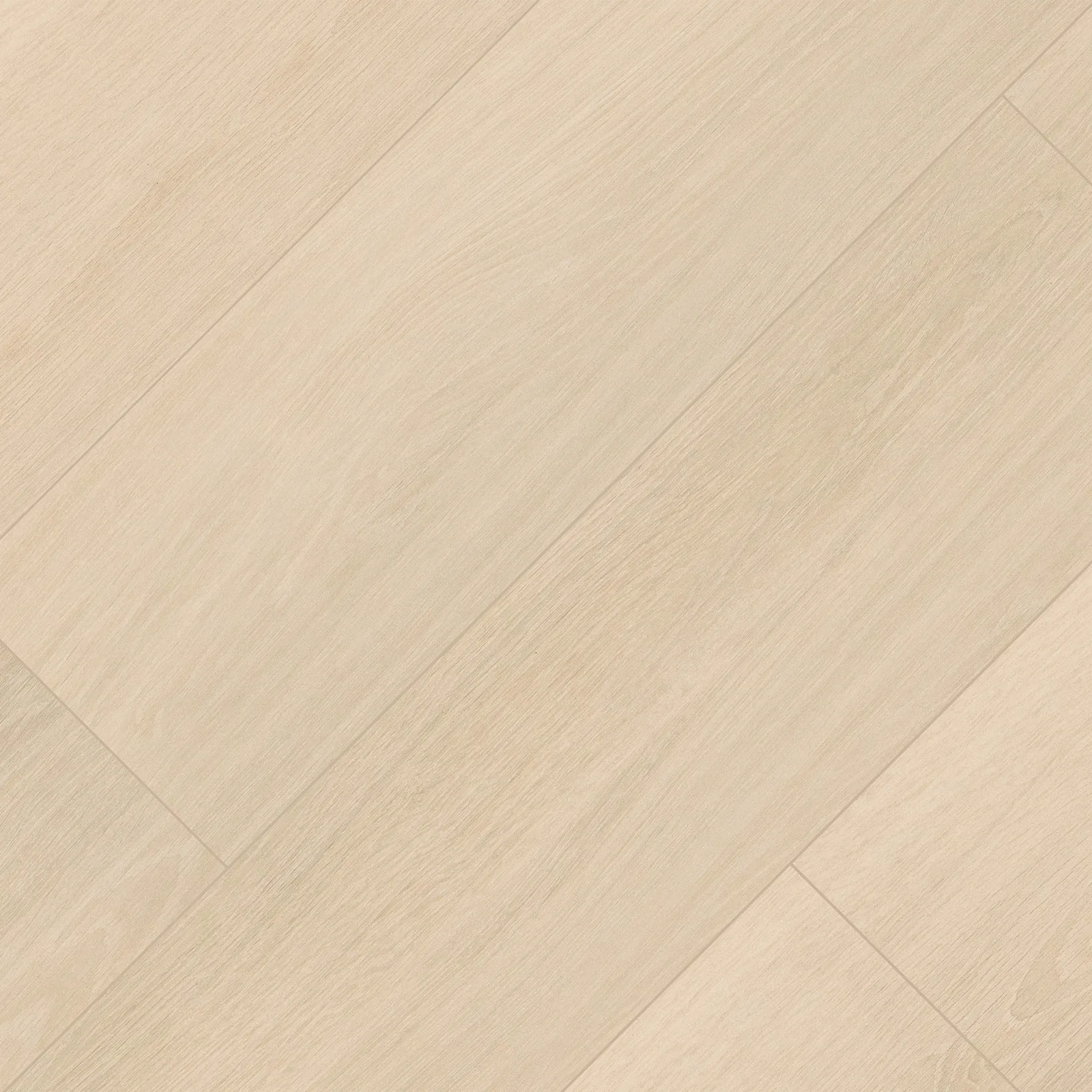 Placero Maple