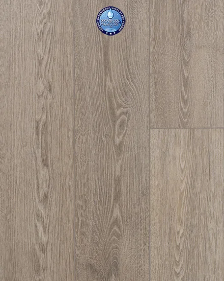 Concorde Oak