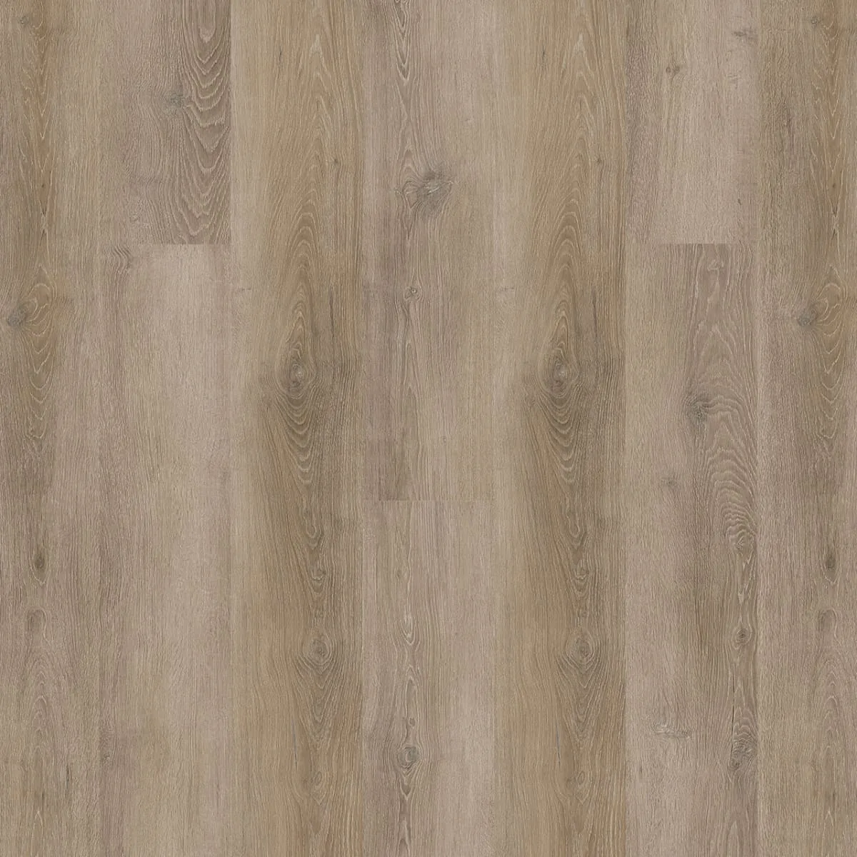 Gallatin Plus L008P