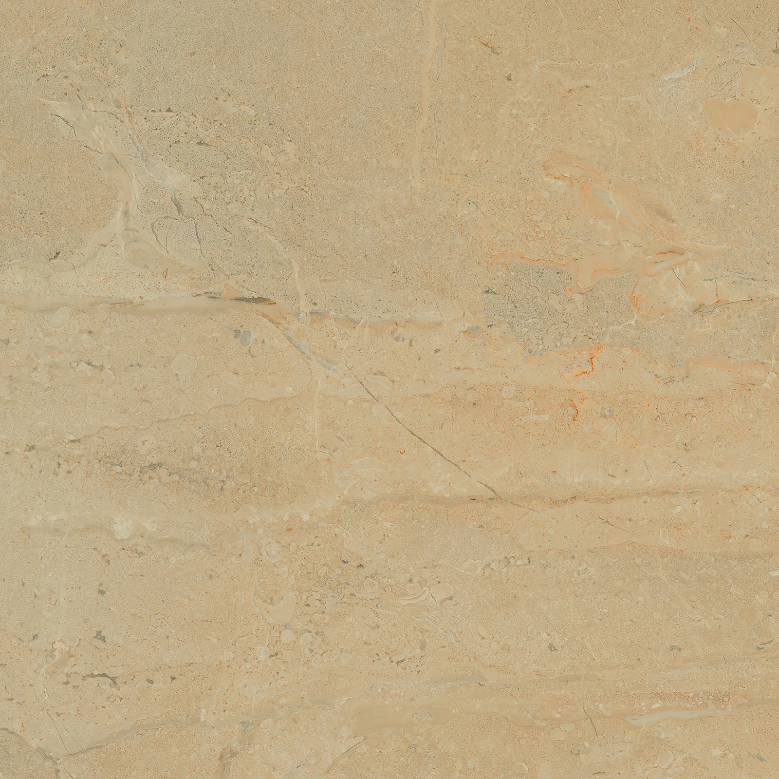 Fd Us Brown wood look tile in glazed ceramic, available in sizes 13x13, 12x24, and 17x17