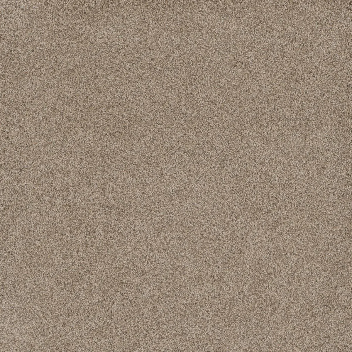 Stunning 4765 broadloom carpet in earthy colors like Seashells and Acorn, made of woven polypropylene, 12ft wide