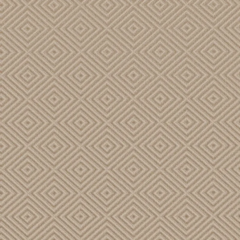 Aristocrat Broadloom Carpet in Heirloom Gray, 100% Nylon, 12ft width, luxurious texture, residential application