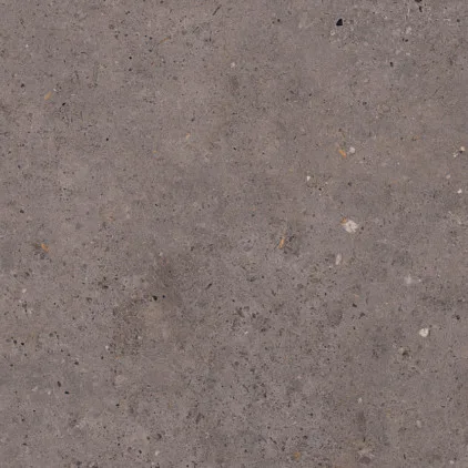 Biophilic Dark Grey
