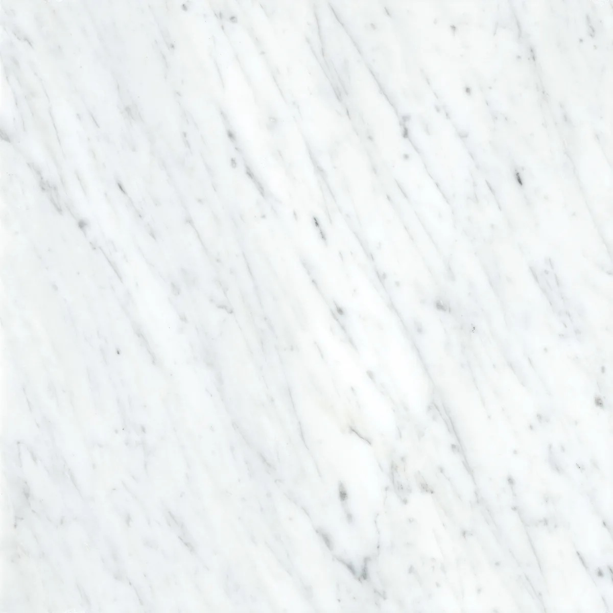 Marble Bianco Gioia Honed