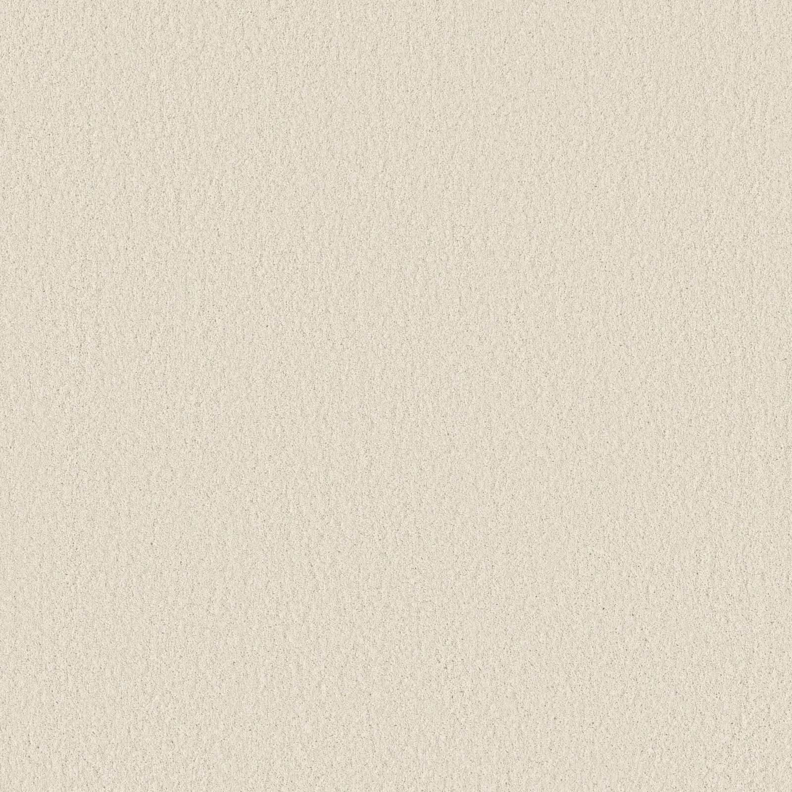 Enchanting Broadloom Carpet in Brulee color, plush cut pile, 12ft width, made of 100% nylon