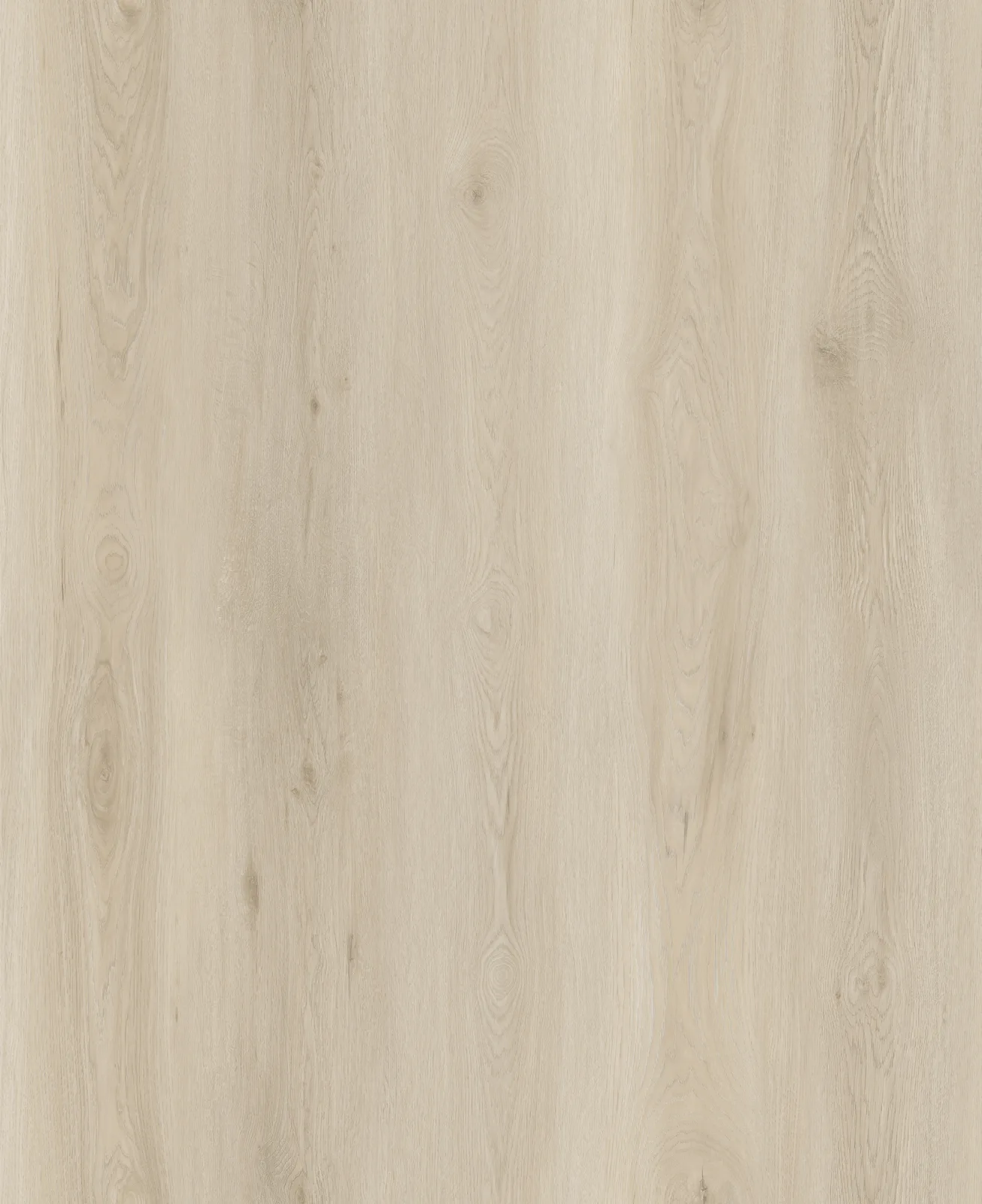 Blonde Birch