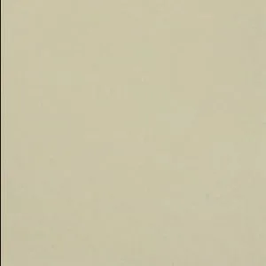 Blanco Mexicano Talavera Tile
