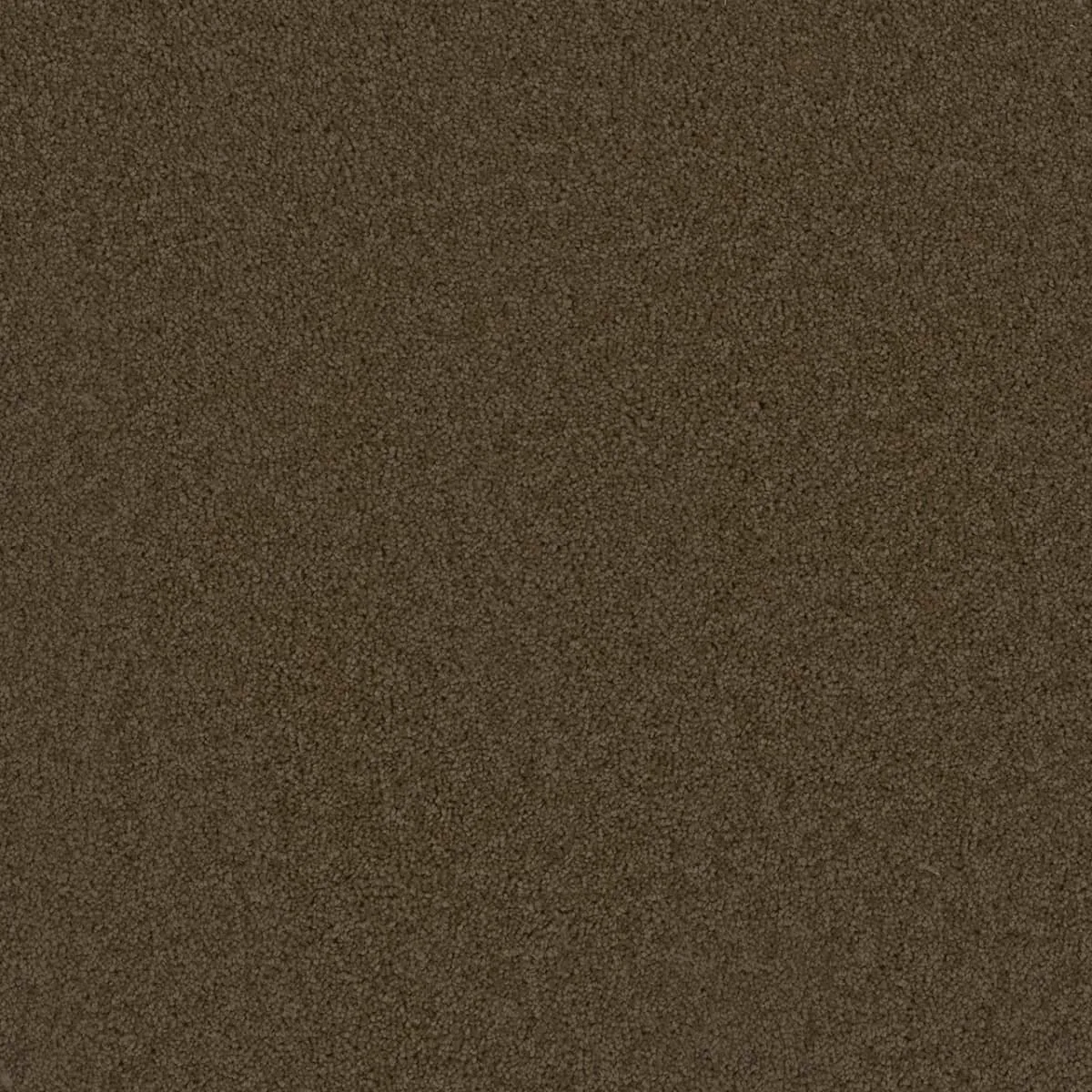 Broadcast 3025 broadloom carpet in Flax Beige, woven polypropylene material, 12ft wide