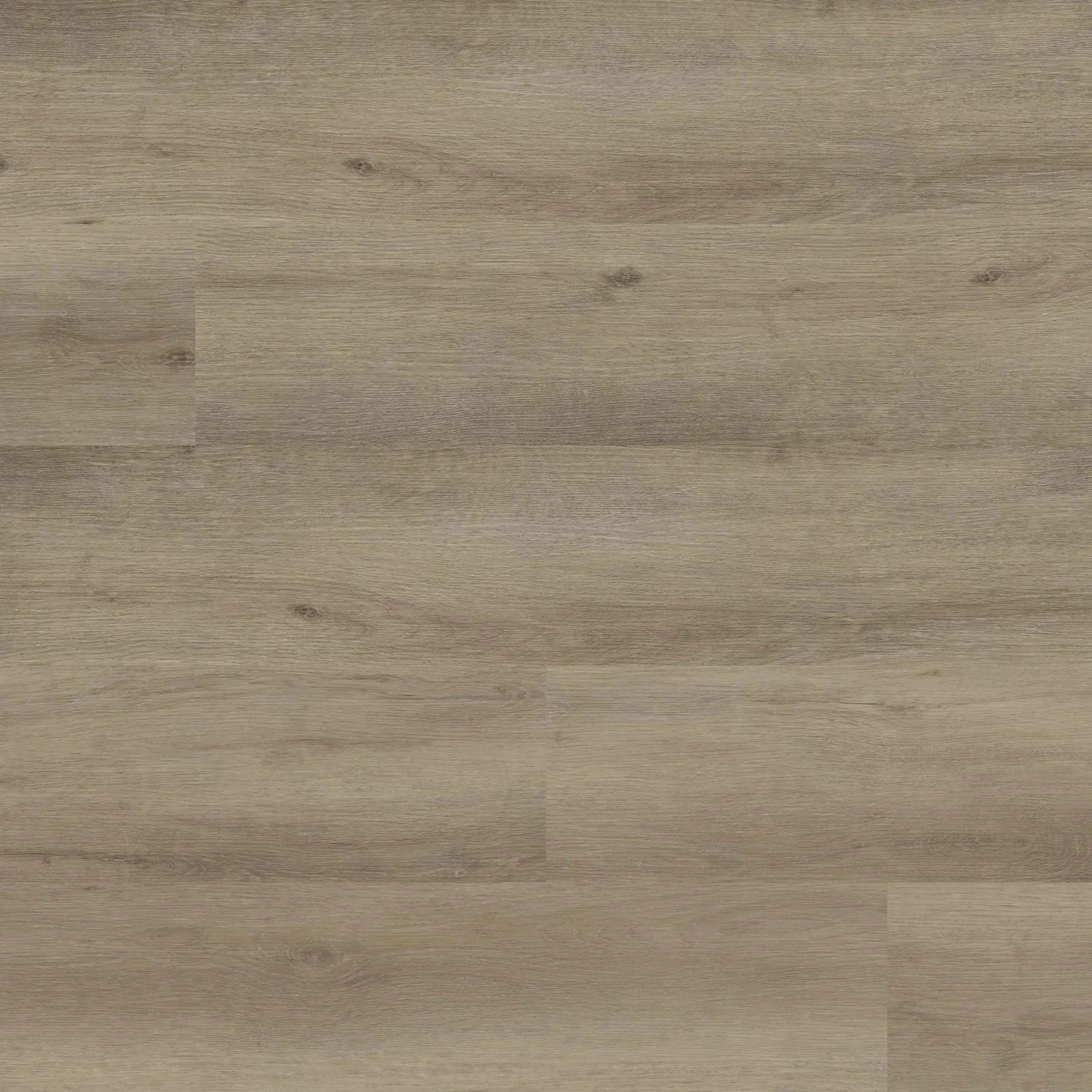 Studio Lark Blonde LVP Plank 98x48 inches Low Gloss finish