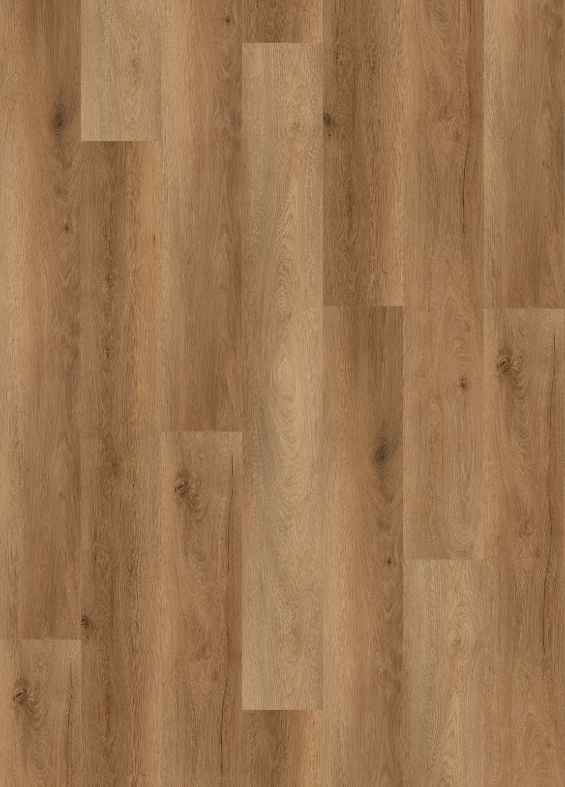 California Sequoia
