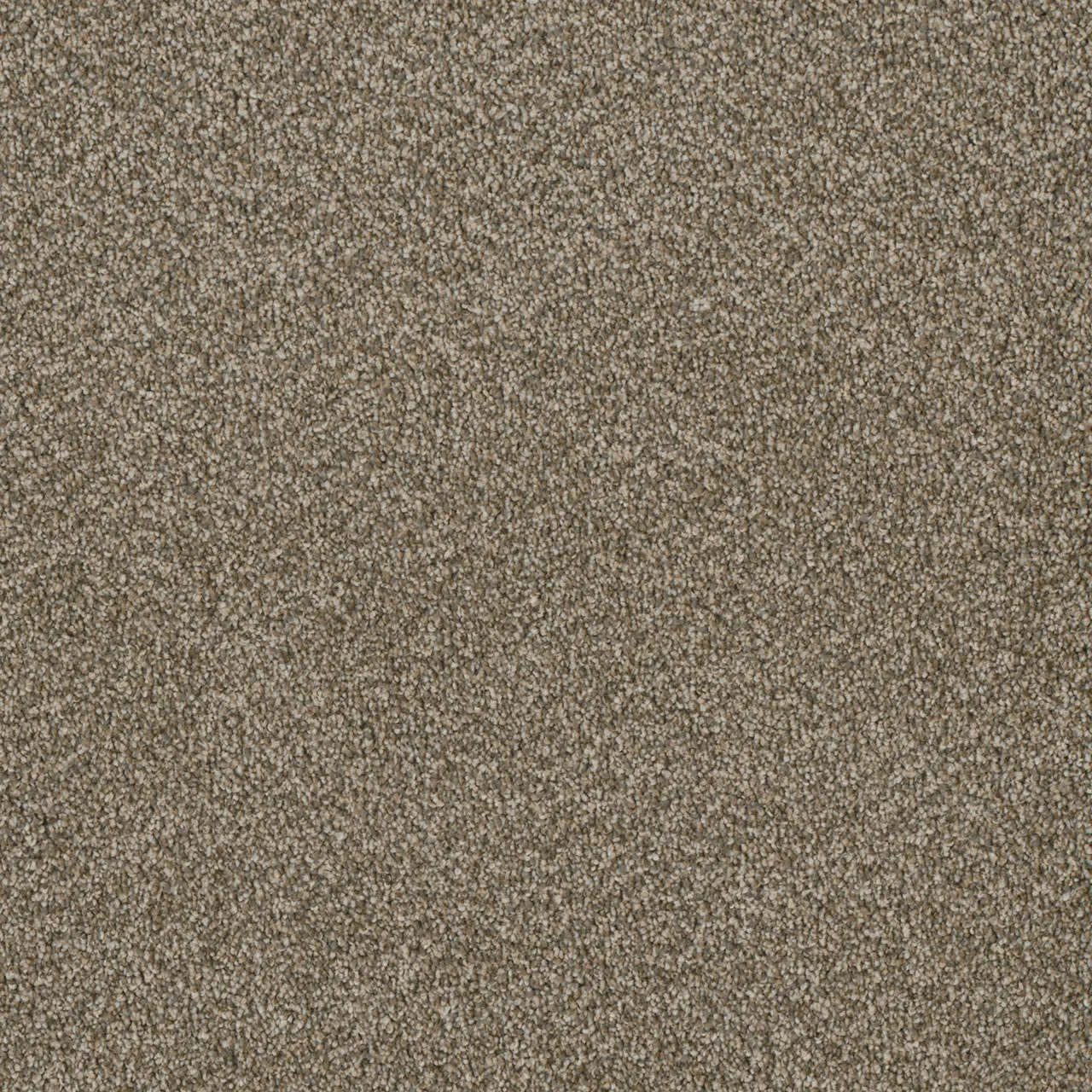 Luxor III 7760 broadloom carpet in sandy trail color made of woven polypropylene, 12ft wide