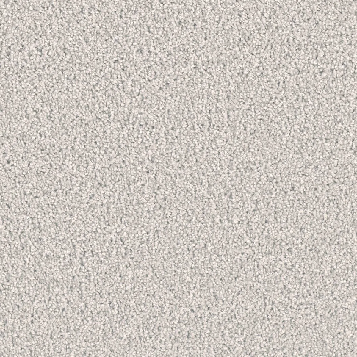 Exceptional II 7404