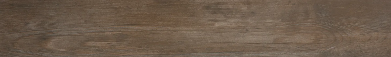 Driftwood Honey