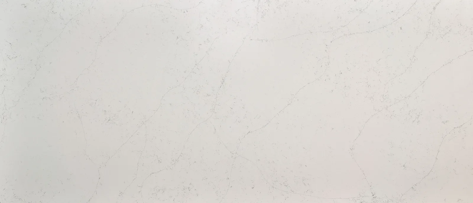 Q Premium Natural Quartz Calacatta Botanica 2 Cm