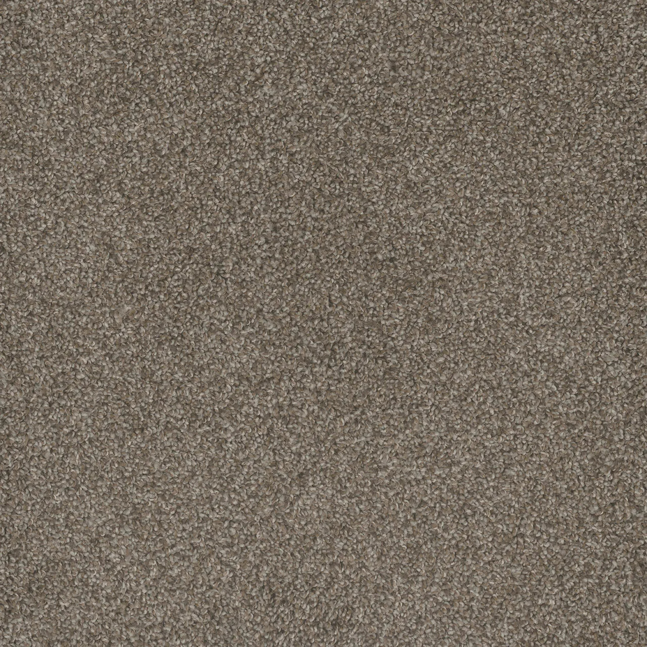 Mill Creek I 4730 Broadloom Carpet in Lucky Penny color, woven polypropylene material, 12ft wide