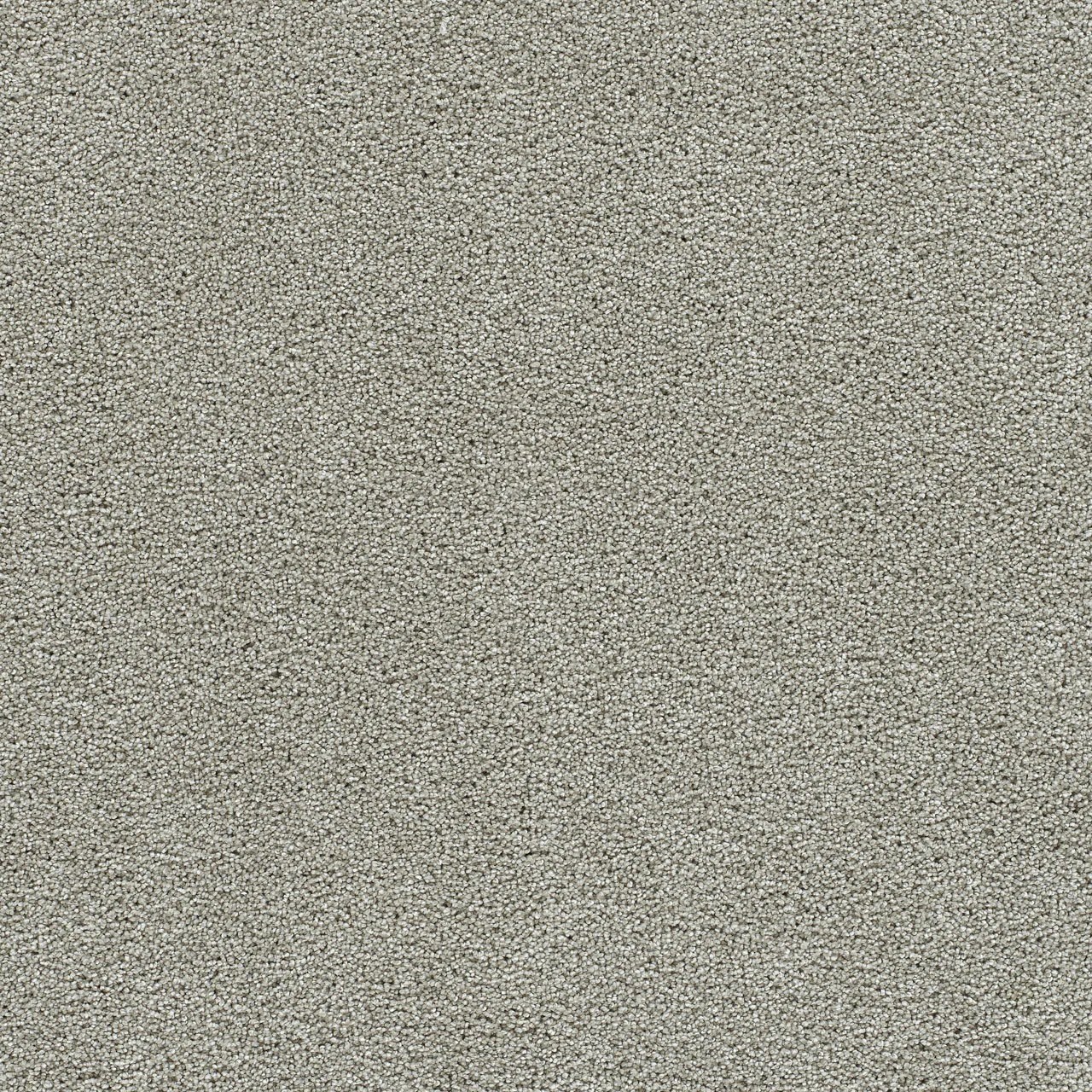 Clear Skies II 5264 Broadloom Carpet in Meadowdale color, woven polypropylene material, 12ft wide