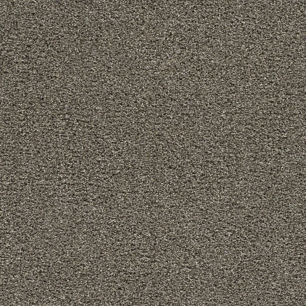Gold Standard III 4066 broadloom carpet in Galvanized color, woven polypropylene material, 12ft wide