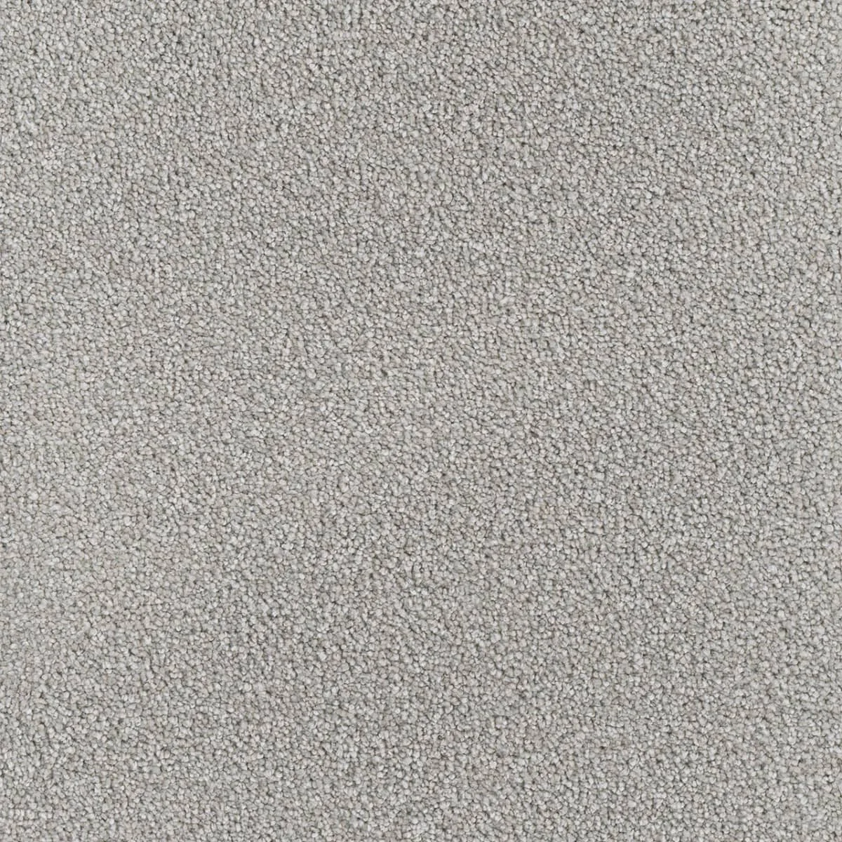 Star Struck 4032 Broadloom Carpet in vibrant colors like Chrome and Blush, woven polypropylene material, 12ft wide
